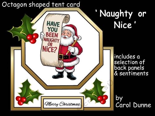 cup1386961_173 - Octagon tent Naughty or nice