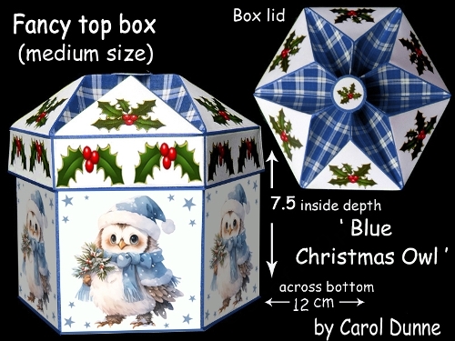 FTBM Christmas Owl