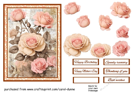 Old fashioned peach roses