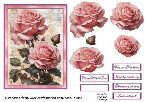 Two Vintage roses