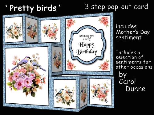 TSF Pretty birds