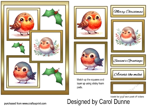 Three squares Cute Robins
