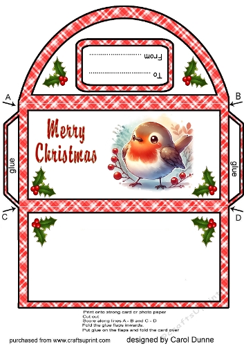 Money wallet Cute Robin