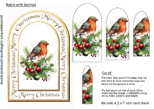 Arch shaped Robin & berries