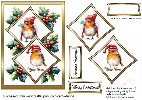 Two Squares Festive robins