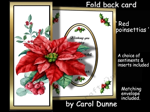 FBG Red poinsettias