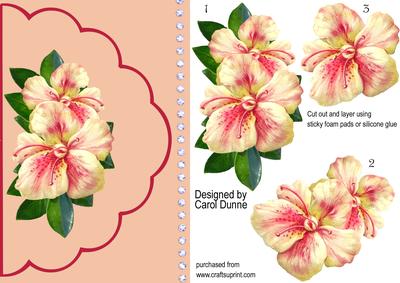 Scallop Edge Cream and Pink Flowers