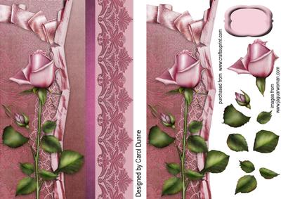 Rose with Pink Brocade