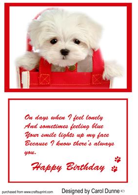 Puppy in a Red Bag Birthday