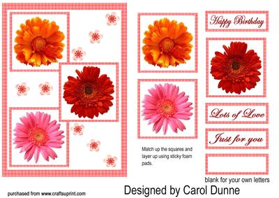 Three Squares - Gerberas