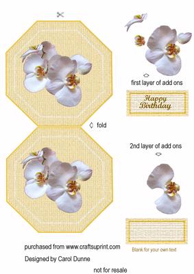 Cream Octagon with Orchids