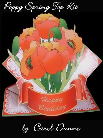 Poppy Spring Top