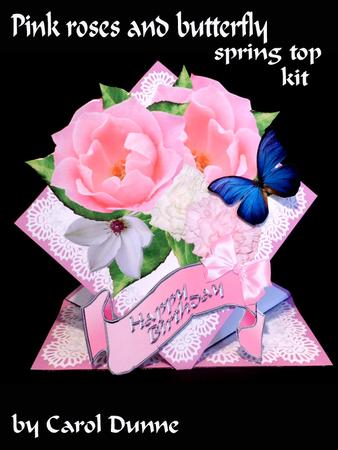 Pink Roses and Butterfly Spring Top