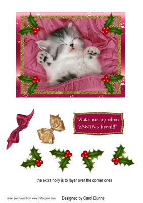 Wake Me Up When Santa's Been
