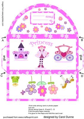 Money Wallet - Princess