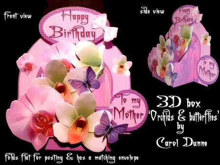 3D Box 'orchids & Butterflies'