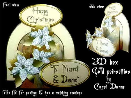 3D Box 'gold Poinsettias'
