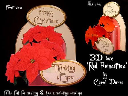 3D Box 'red Poinsettias'