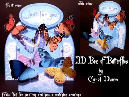 3D Box of Butterflies