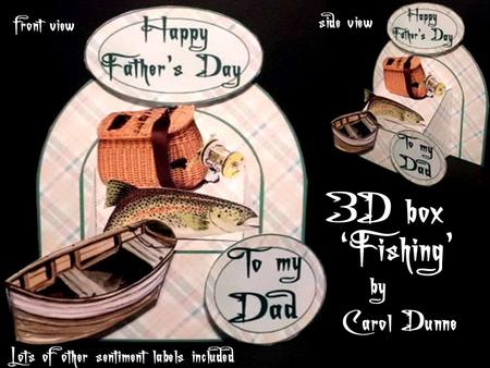 3D Box Fishing