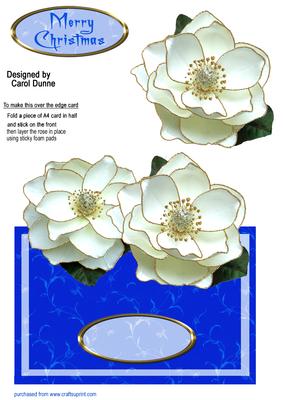 Christmas Roses Over the Edge