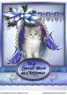Kitten, Butterflies and Poinsettias