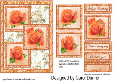 Three Squares - Peach Roses