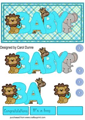 Baby Boy Dl Card