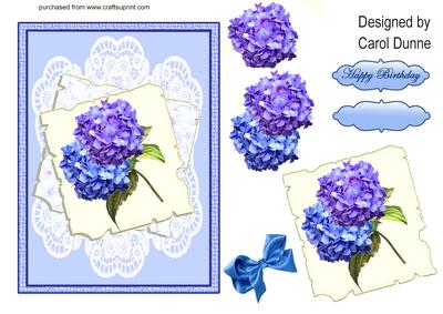 Hydrangeas on Paper and Lace