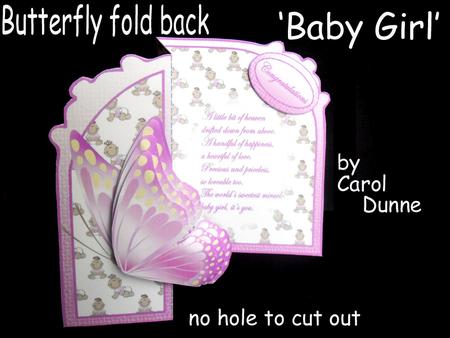 Butterfly Fold Back baby Girl