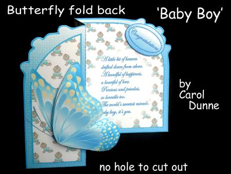Butterfly Fold Back baby Boy