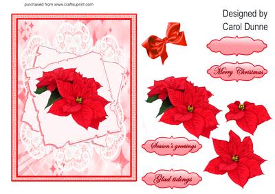 Poinsettias on Paper and Lace