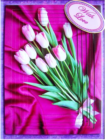 Tulips on Satin A4 Tunnel Kit