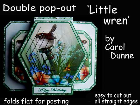 3D Double Pop-out - Little Wren