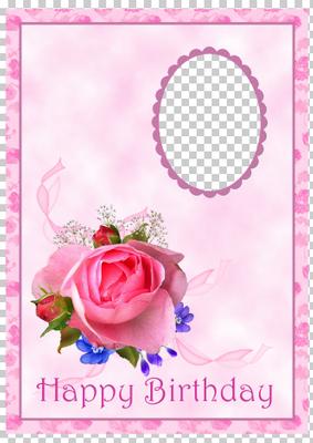 Pink Rose Spray