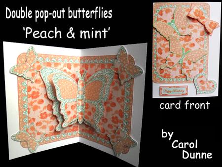 Double Pop-out Butterfly - Peach and Mint