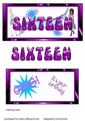Sixteen Dl (female)