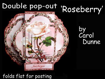 Double Pop-out 'roseberry'