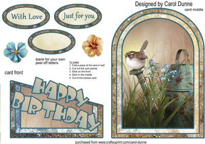 Wren in the Garden Cutaway