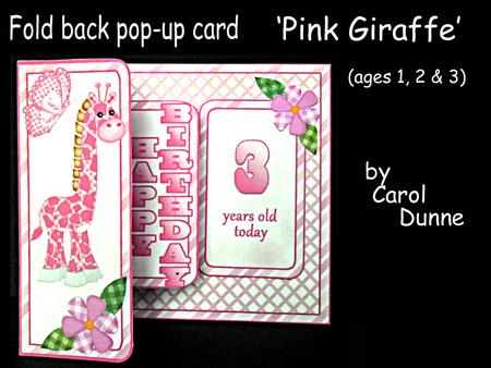 Fbp Pink Giraffe Ages 1, 2,& 3