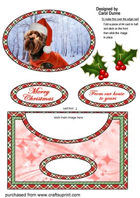 Yorkie Christmas