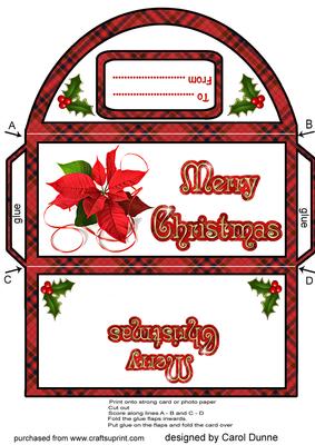 Money Wallet - Red Ponsettia