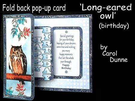 Fbp Long-eared Owl Hb