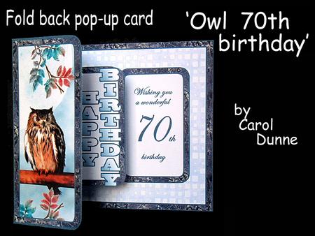 Fbp Owl 70th Birthday