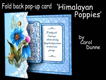Fbp Himalayan Poppies
