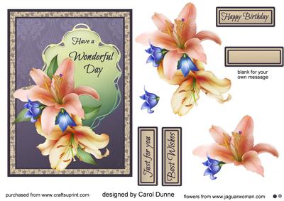 Downton Lilies