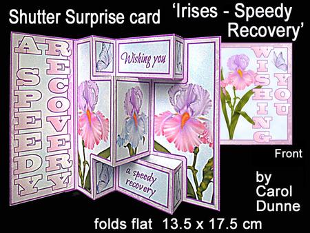 Shutter Surprise Card - Irises - Speedy Recovery
