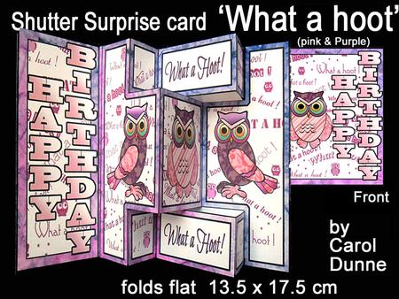 Shutter Surprise Card - What a Hoot (pink)