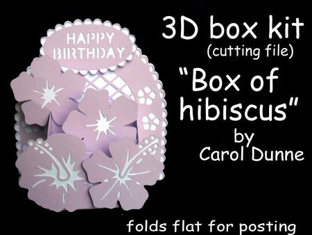 3D Box - Box Of Hibiscus