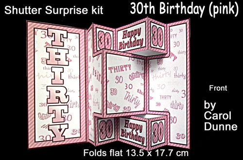 Shutter Surprise Kit 30th Birthday (pink)